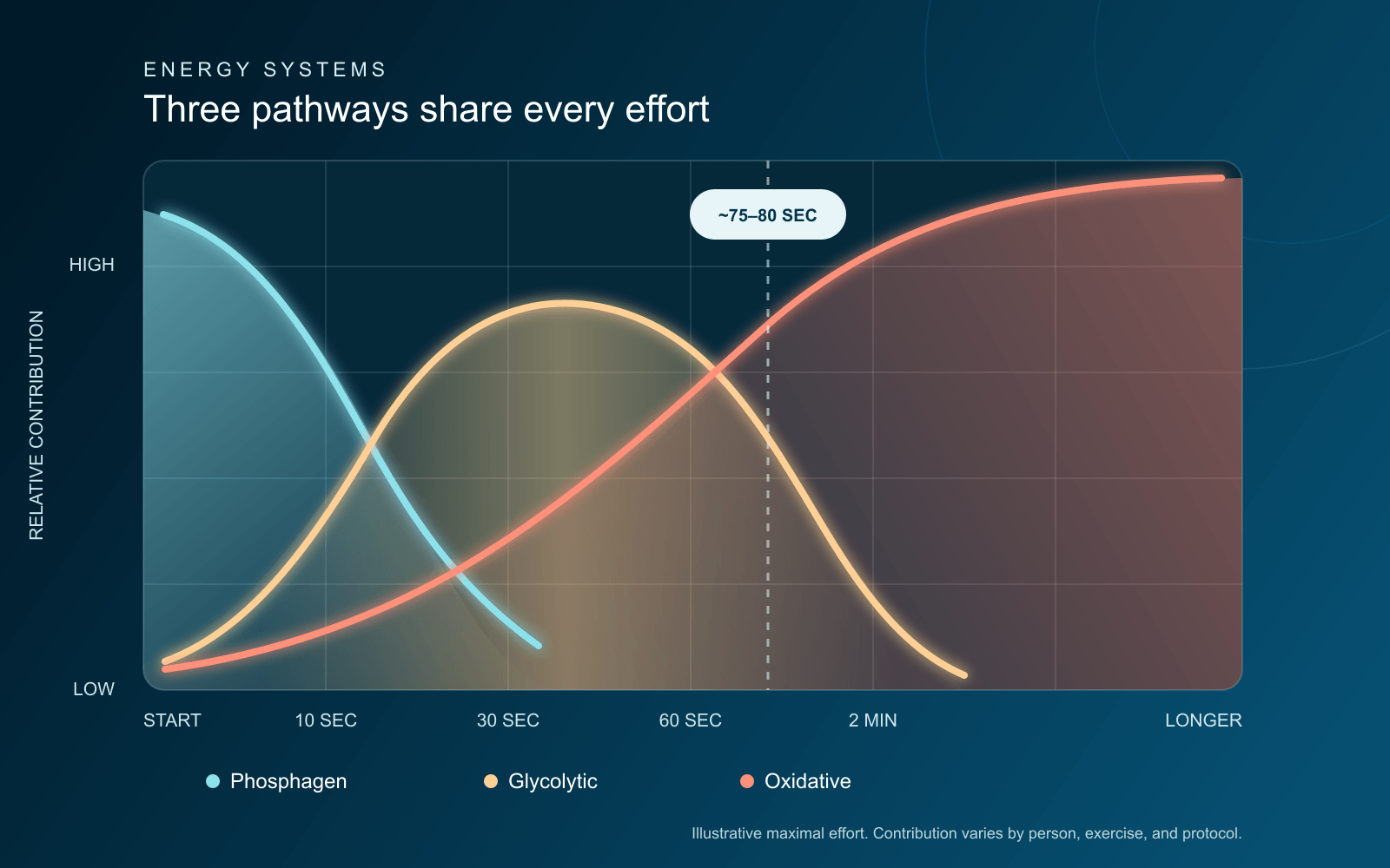 Illustrative graph showing phosphagen, glycolytic, and oxidative energy-system contribution changing over the duration of maximal exercise